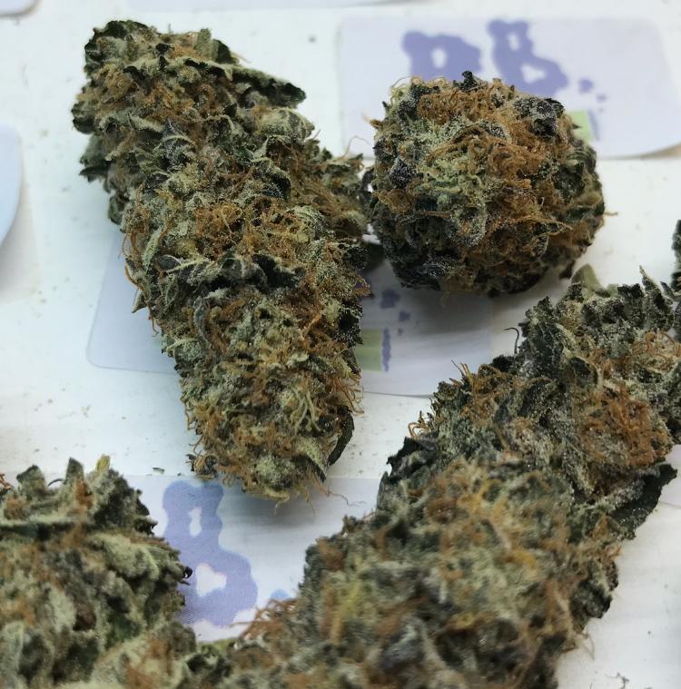 ICE CREAM CAKE DUTCH A+