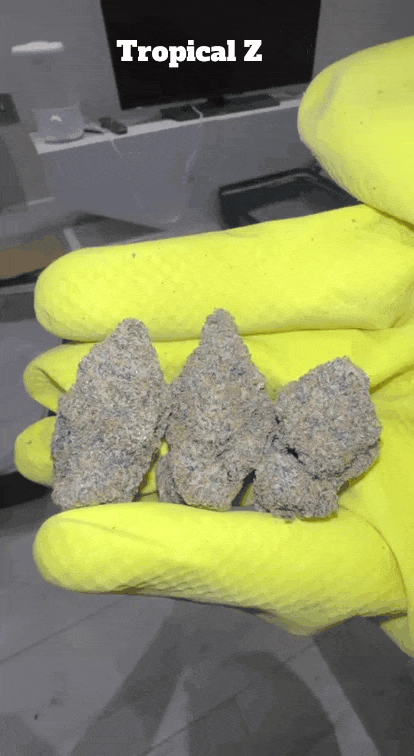 Top Shelf Exotics - Imported Loose Flower