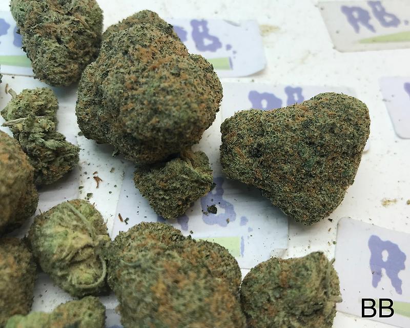 BUBBLE GUM MID SHELF CALI