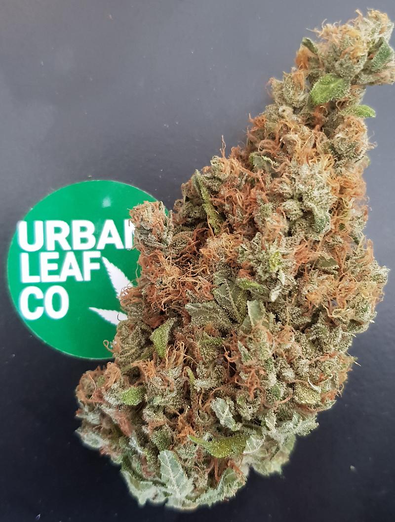 **GREASE MONKEY - (FREE RM 1ST CLASS DISPATCH)**