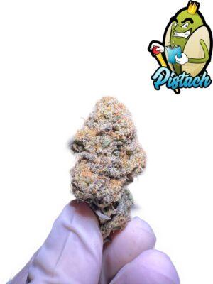 WEDDING CAKE TOPSHELF IMPORT