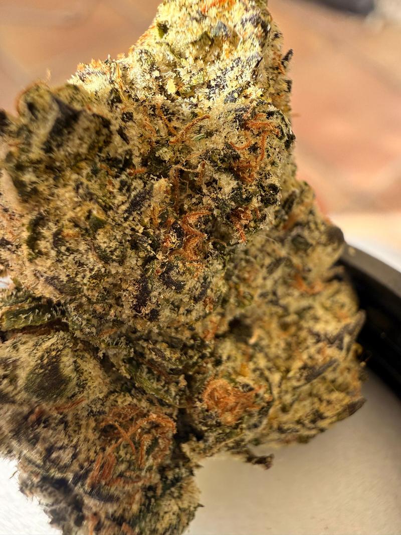 FRESH CANDYS -  LCG BX1