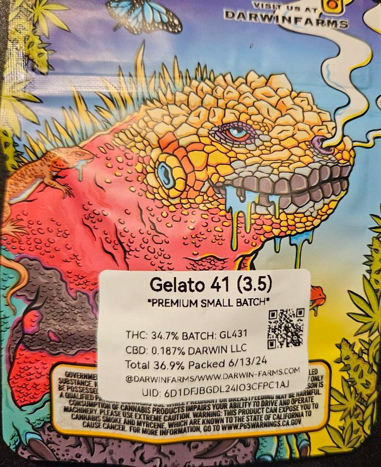 Darwin Farms - Gelato 41