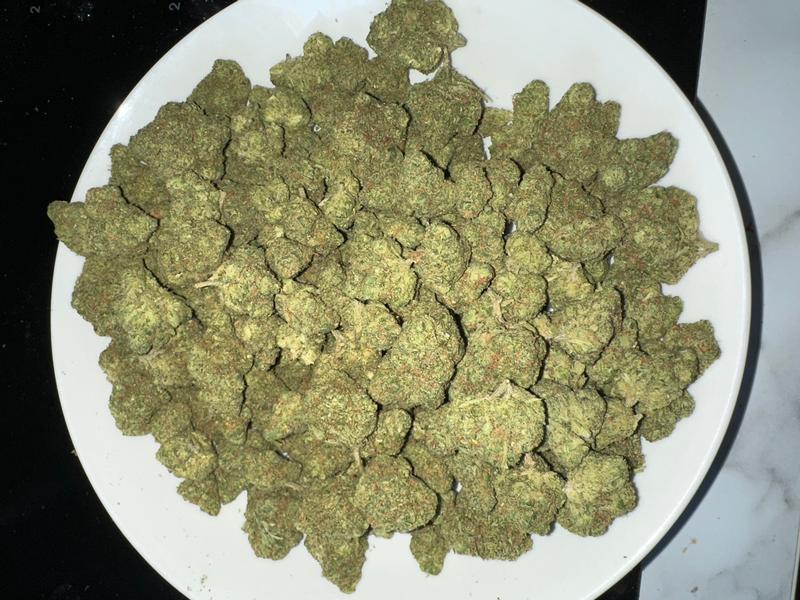 Bruntz - Briscotti x white Runtz