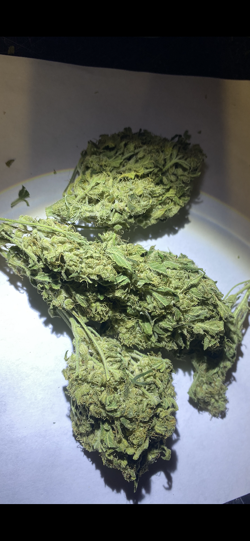 Grade B Super Lemon Haze