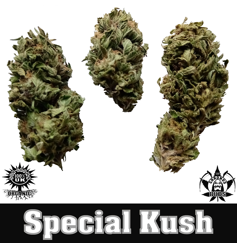 Special Kush- Free UK Delivery.