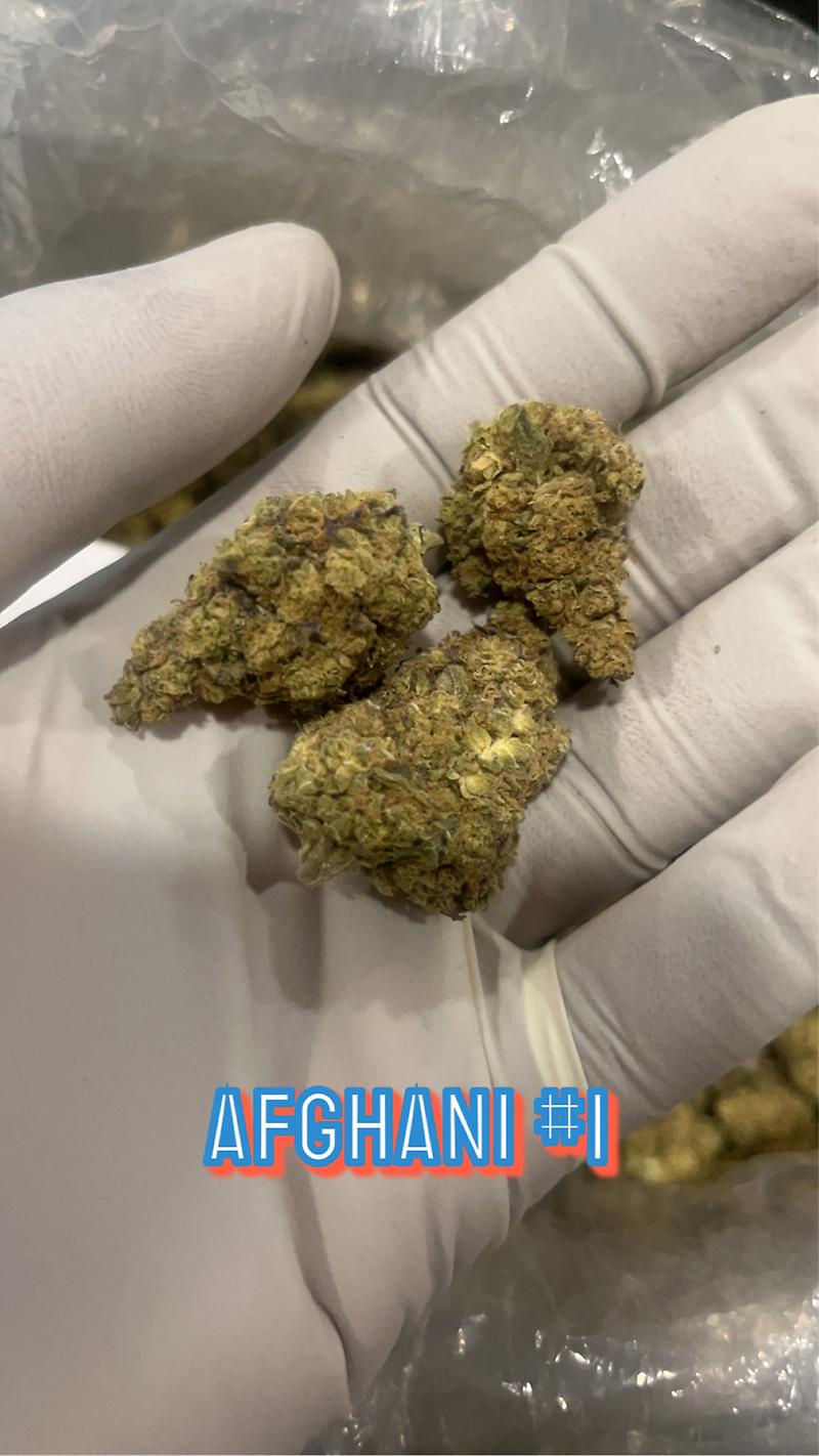 Afghani #1