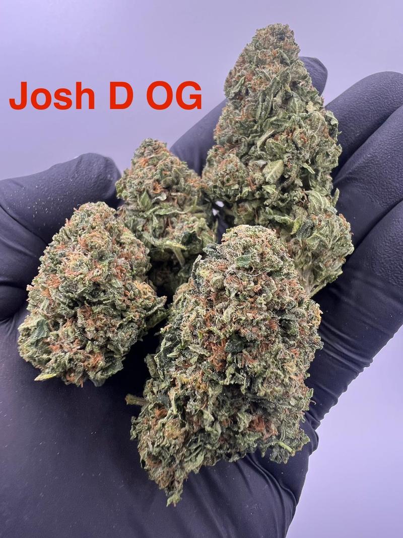 UK Flower 🇬🇧🇬🇧