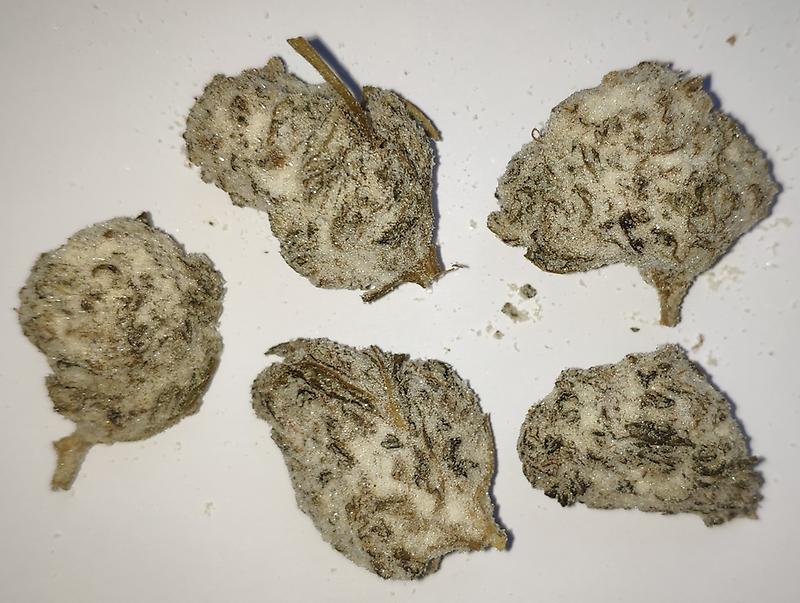 WHITE ICE ROCK– 52% CBD MOONROCK