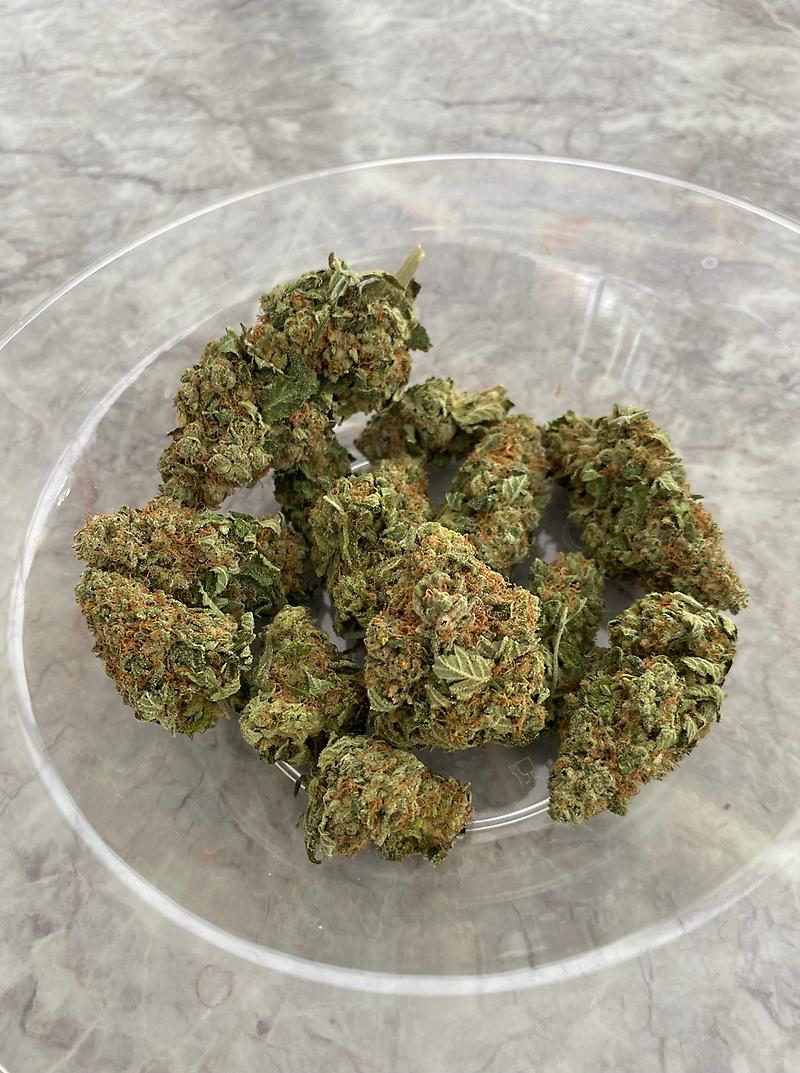 #WATERMELON 🍉 ZKITTLEZ 🍬#