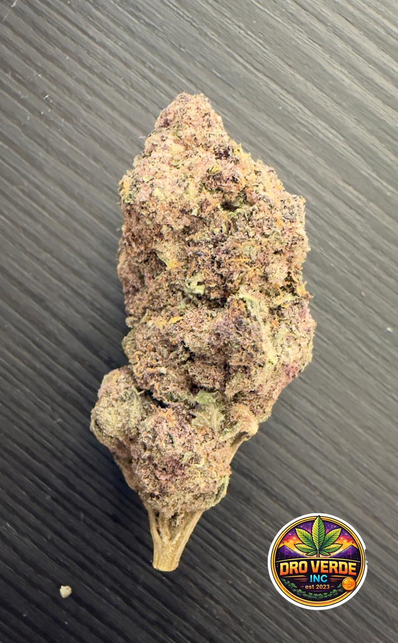 Purple Urkle 🇬🇧