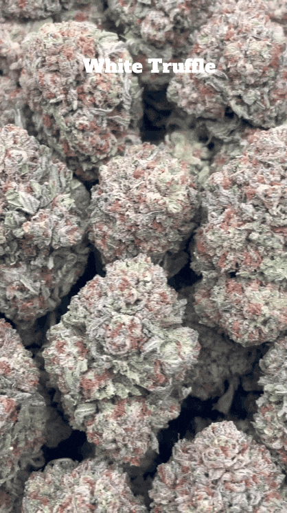 Cali Mids - Loose Import 🇺🇸