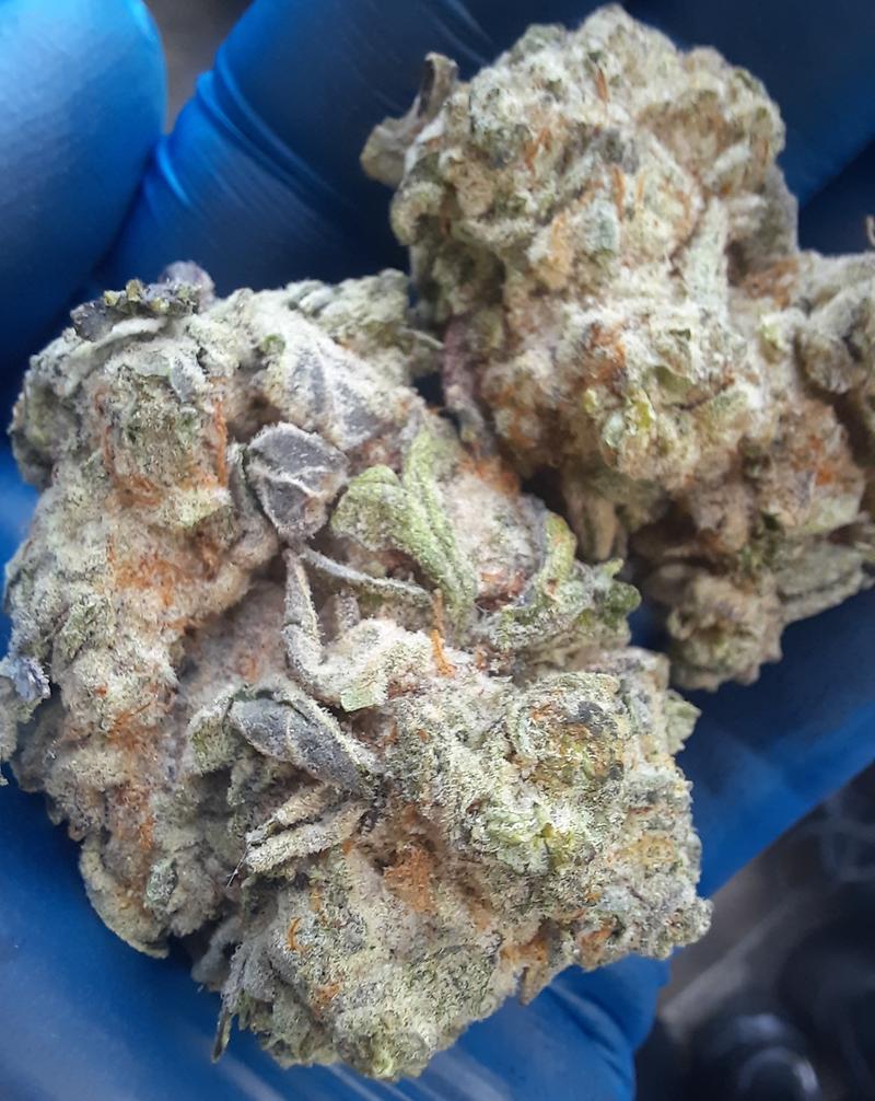 **MAC-N-JACK - (FREE RM 1ST CLASS DISPATCH)**