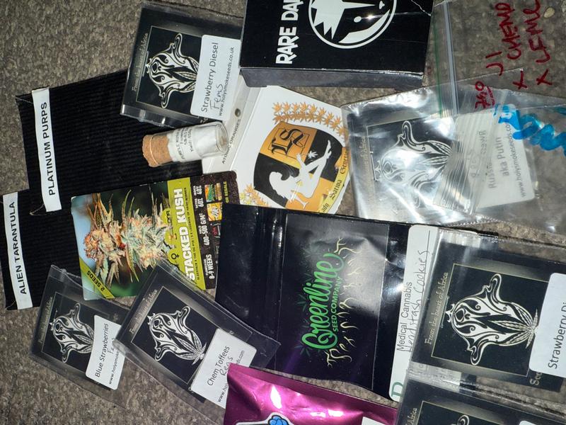 Mix and Match Seeds. Regular/Feminized.