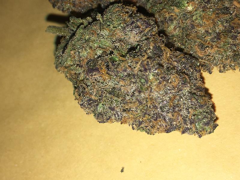 Sample Pack - Cali Top Shelf