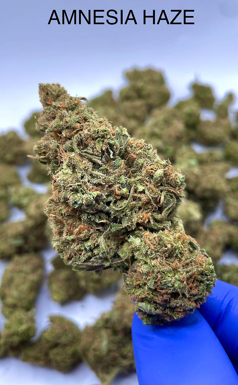 AMNESIA HAZE