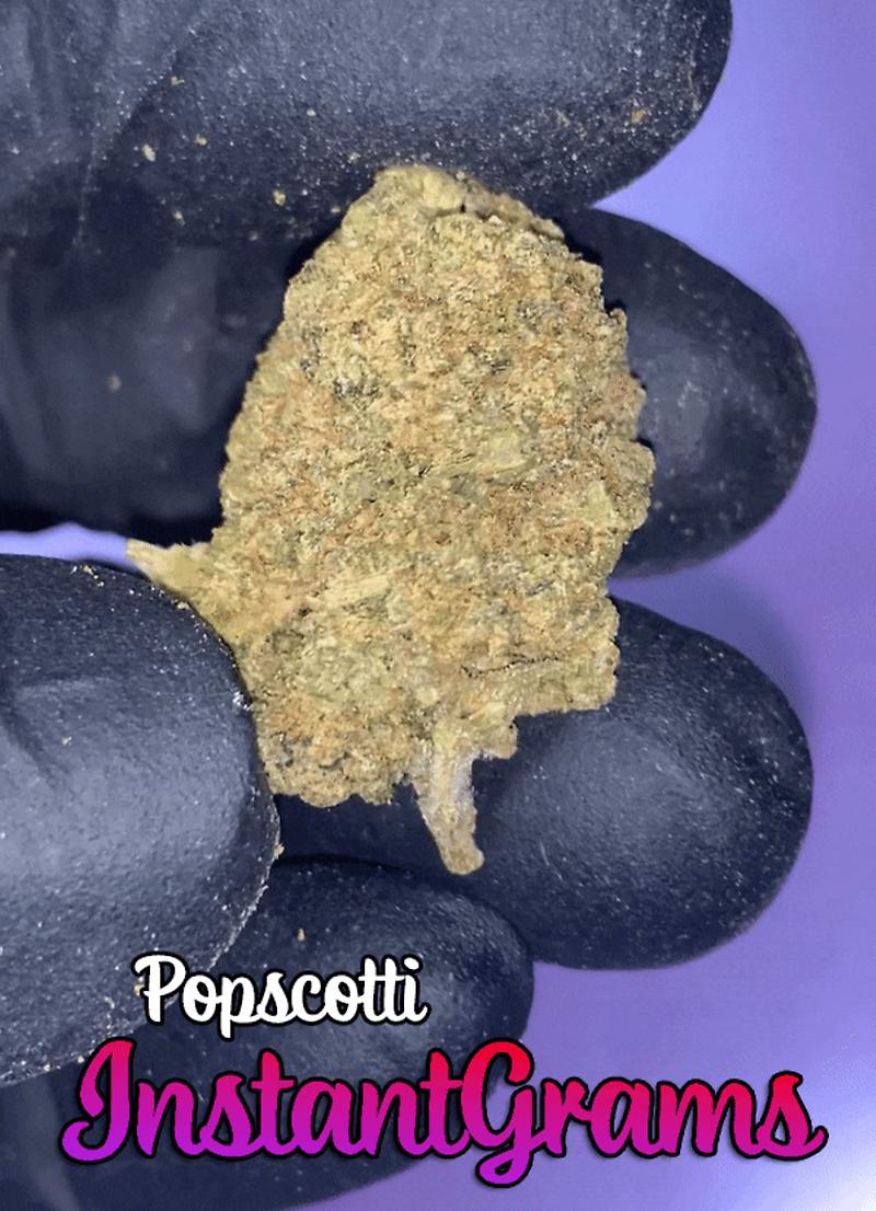 INSTANT Outdoor Cali Buds