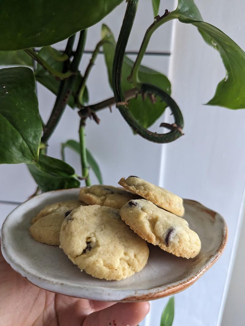 weed cookies! 20mgTHC each, 5 per pack