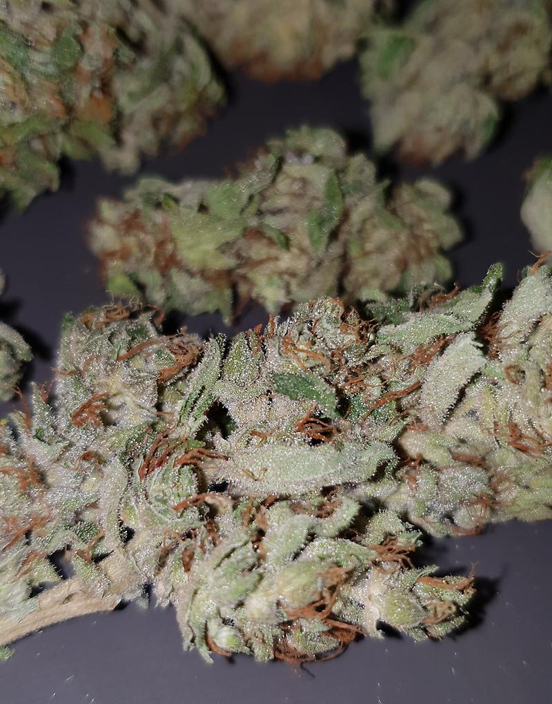 **BRUCE BANNER #3 / PRICE REDUCTION / AIRY BUDS**