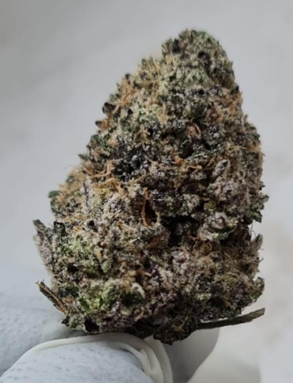 **TRUFFLEZ - (FREE RM 1ST CLASS SHIPPING)**