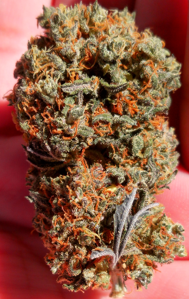 Very Berry &ndash; 17% CBD Hemp Flowers