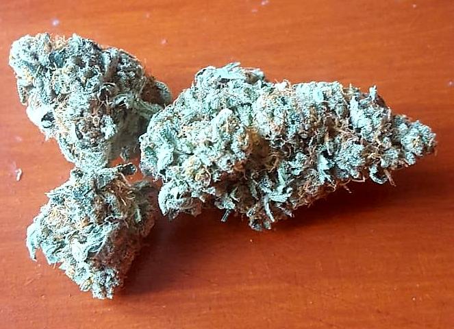 Premium Stardawg (FREE SINGED FOR)