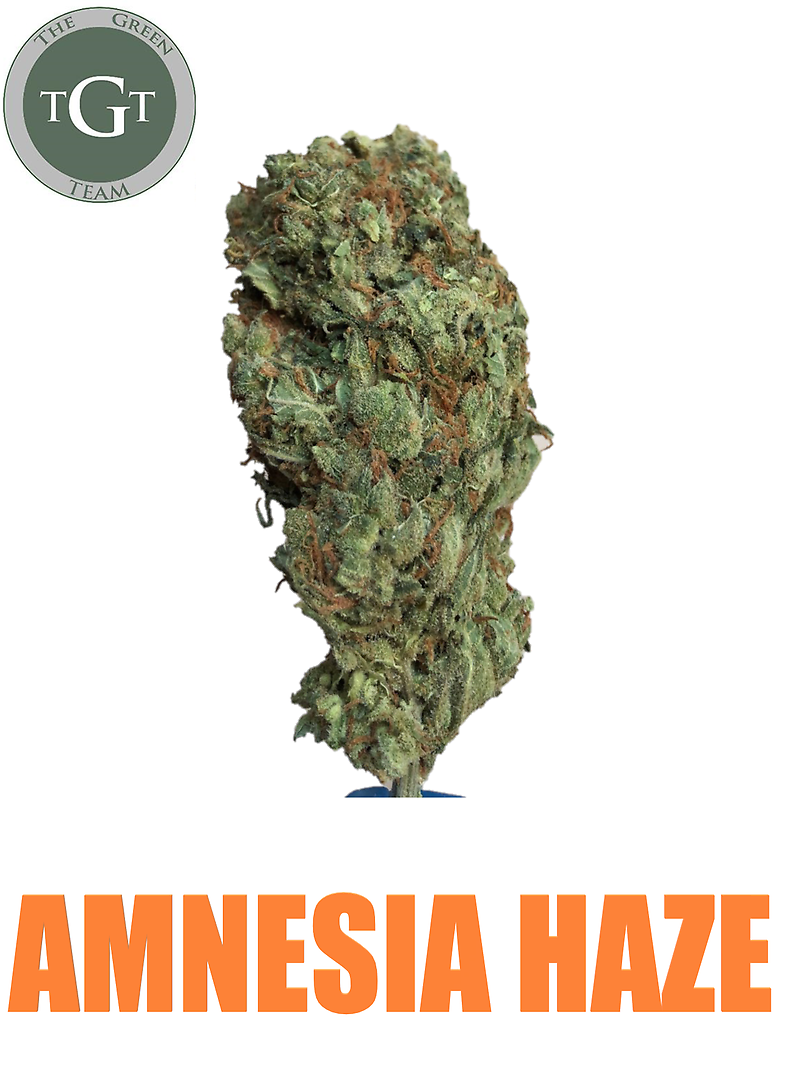 AMNESIA HAZE