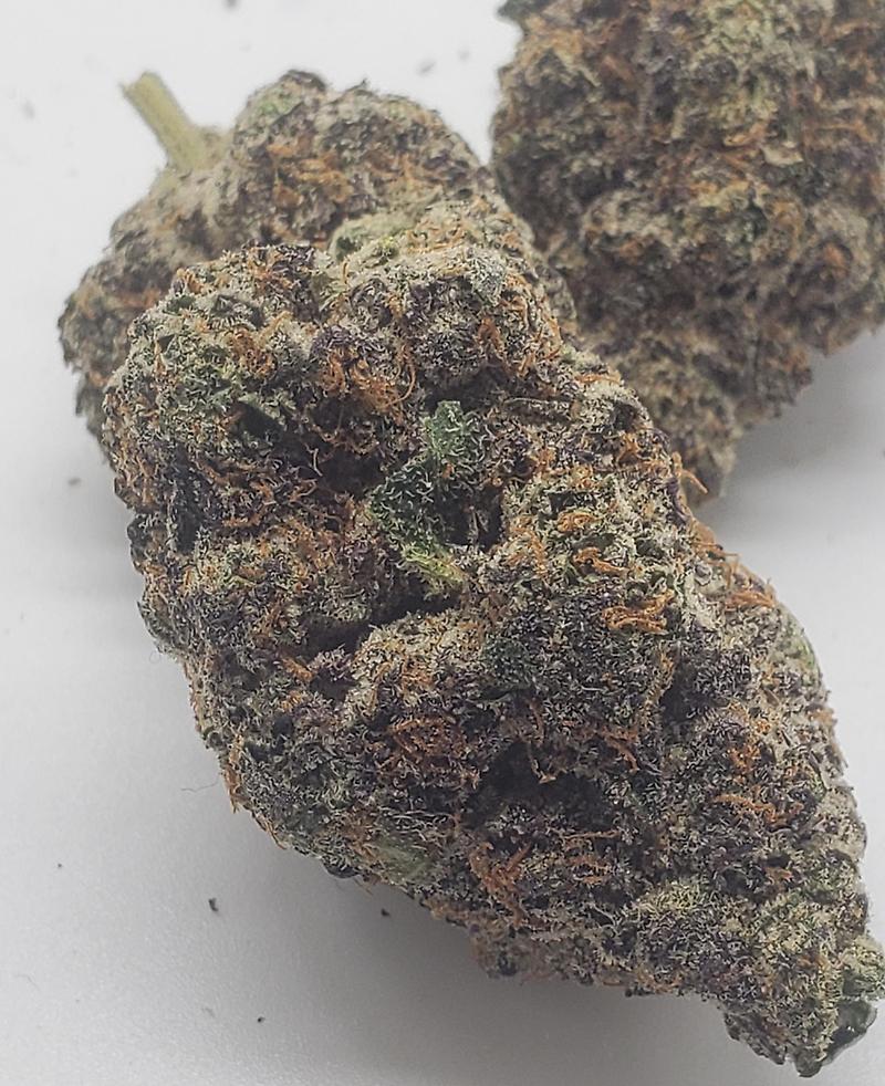 LONDON POUNDCAKE (INDICA DOM)