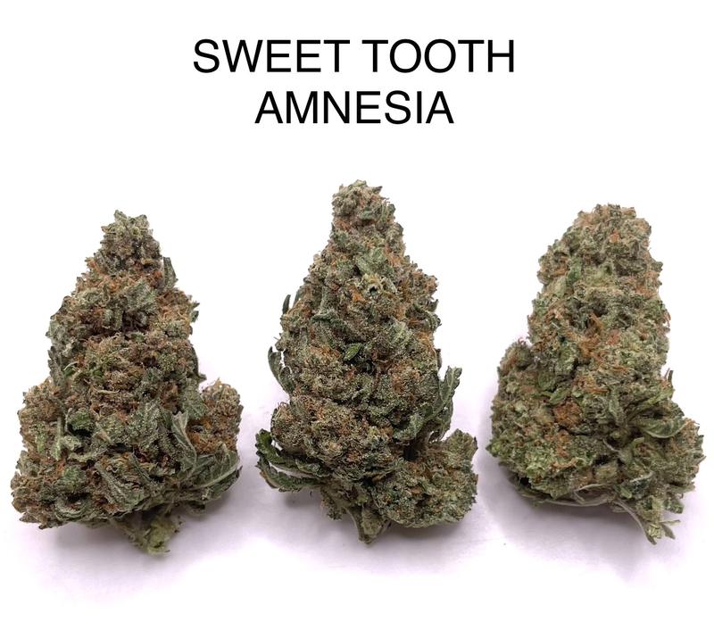 SWEET TOOTH AMNESIA