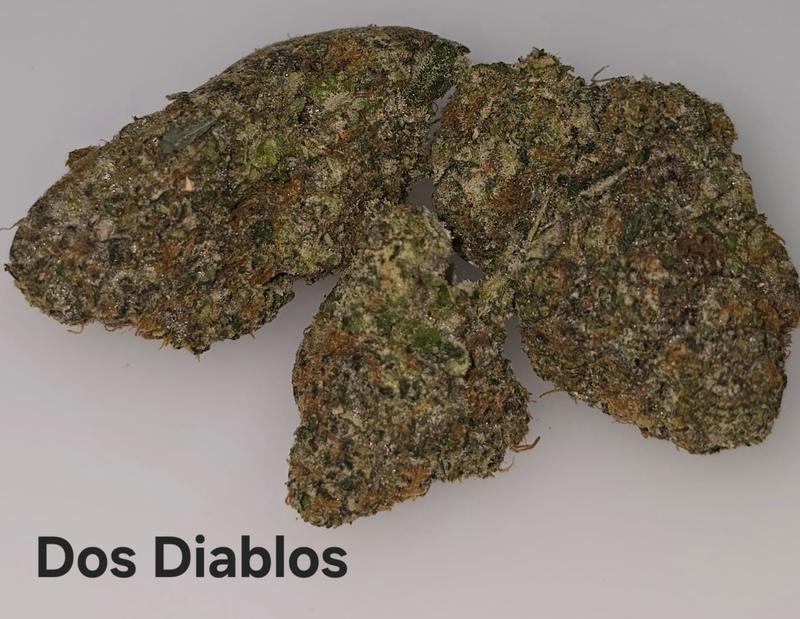 Make an oz for £160! ( Free T24 )