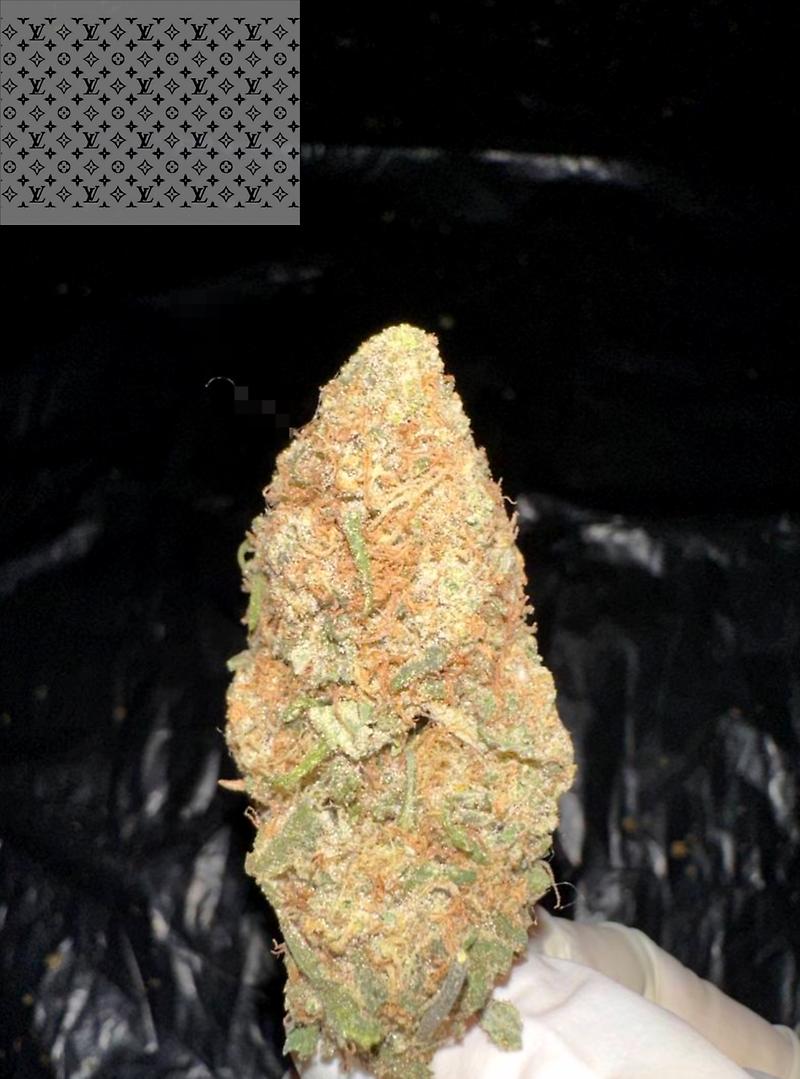 ZUSHI (ZKITTLEZ X KUSHMINTZ 11)