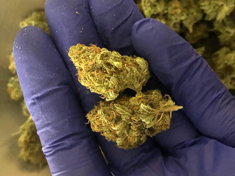 BoneDry Touch And Crumble - Dank Silver Zkittles