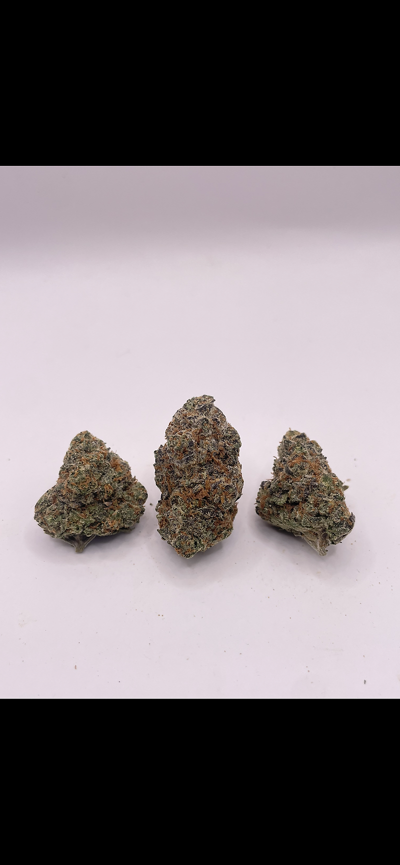 MOTOR BREATH - EXOTICS