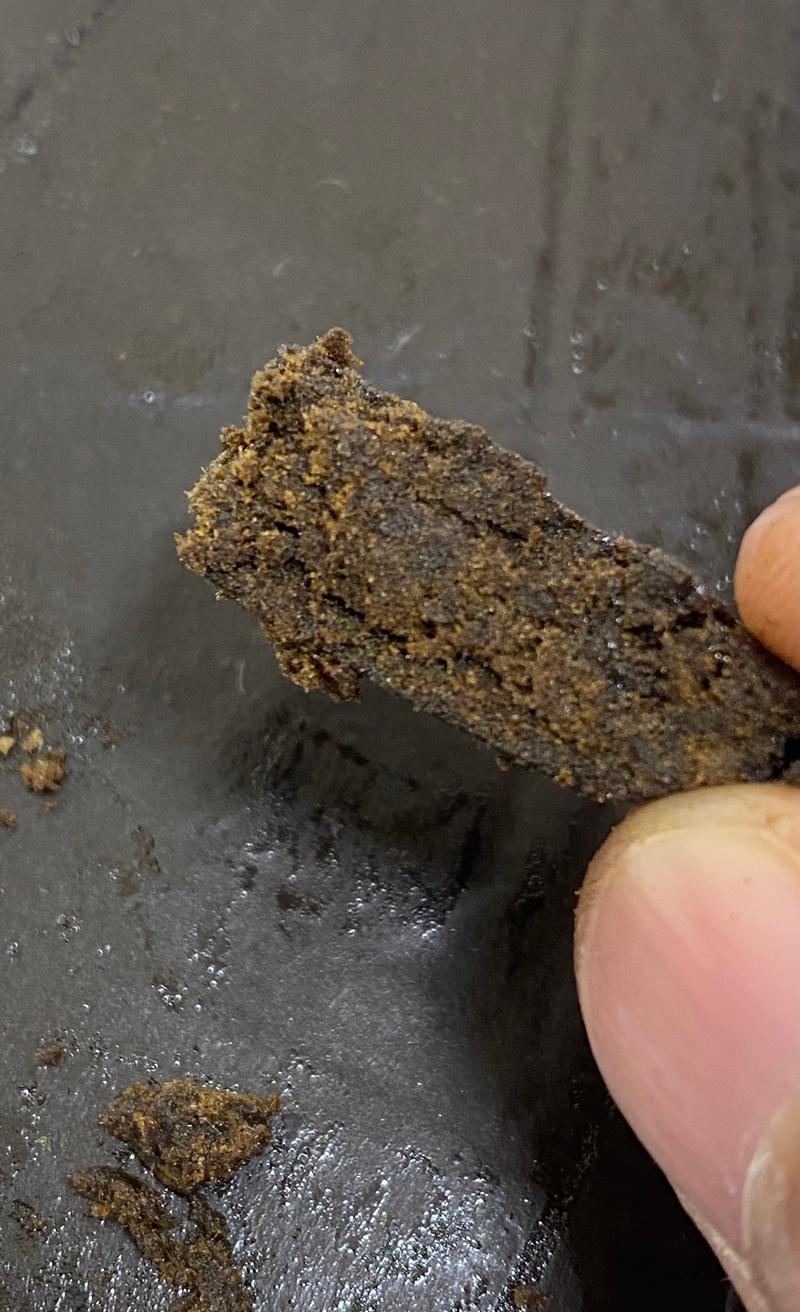Oily Commercial Grade Morrocan Hash
