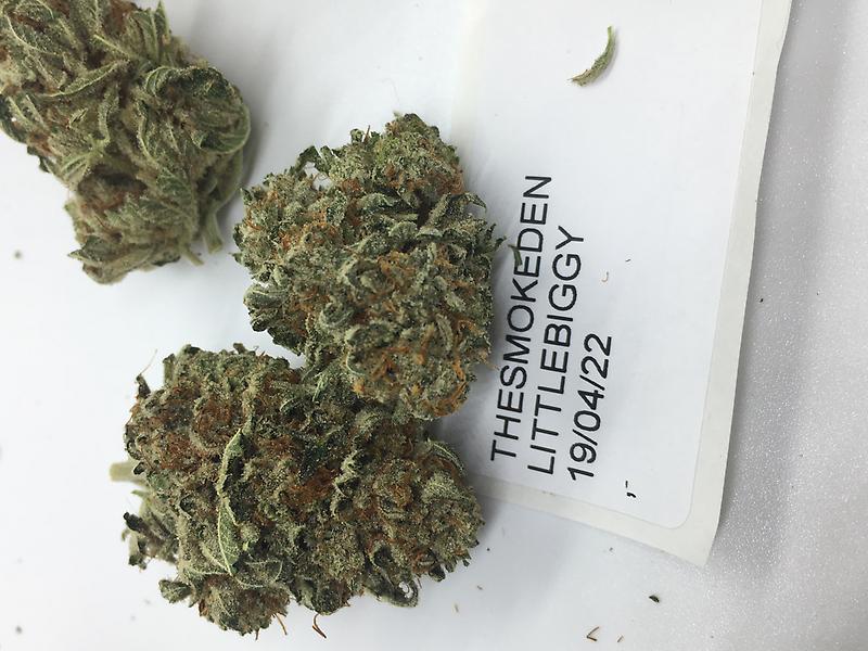 STARDAWG - VERY BIG BUDS - STANKY STANKY