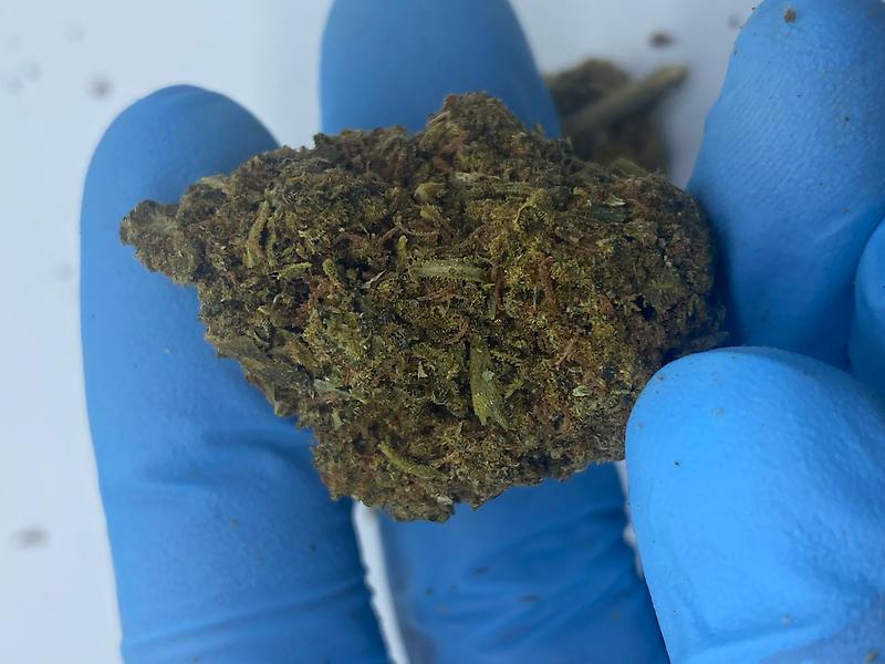 Green Crack Super Cheap Buds