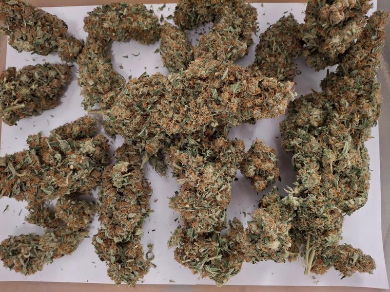 Delicious Strong Super Lemon Haze