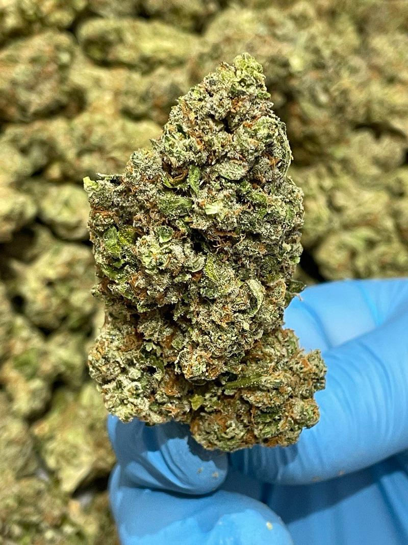 Grease Monkey *Free Shipping*