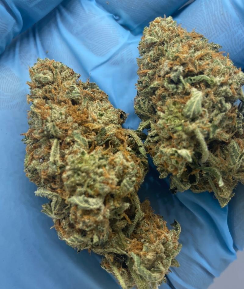 Mimosa Lovely UK Grown Properly Cured and Flushed