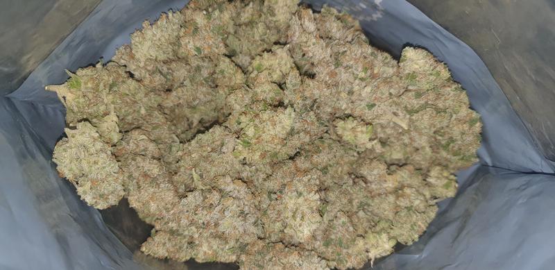 Bola Mintz - RozzyGrown