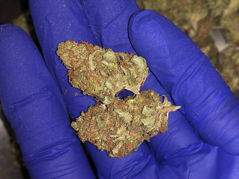 BoneDry Touch And Crumble - Dank Silver Zkittles