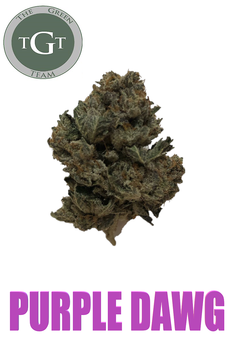 PURPLE DAWG