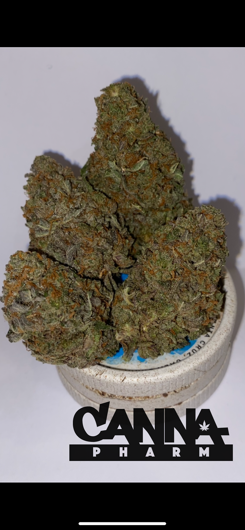 STAR DAWG  **FREE 1ST CLASS**