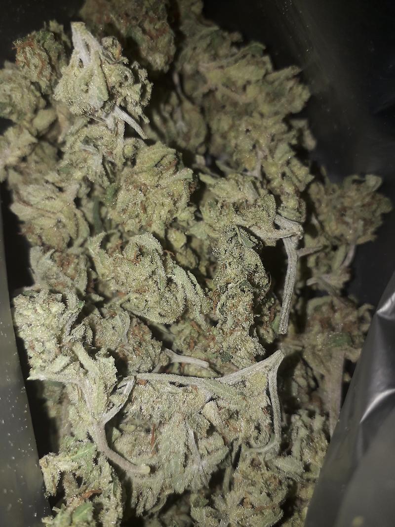 Amnesia Haze *small airy/stalky Buds*