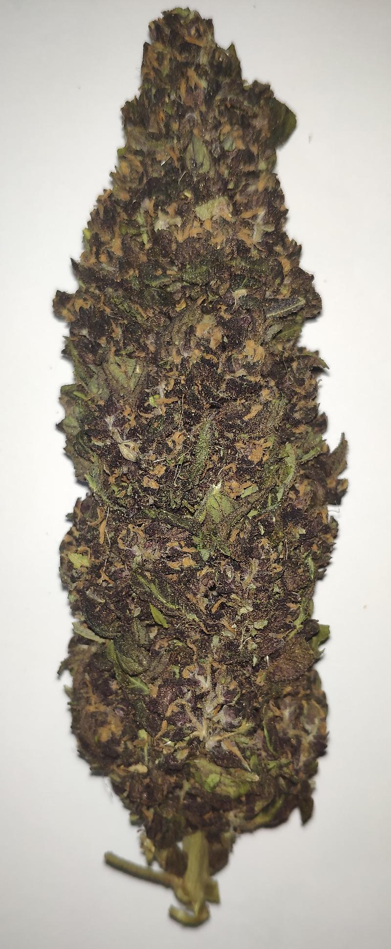PURPLE HAZE – 25% CBD BUDS