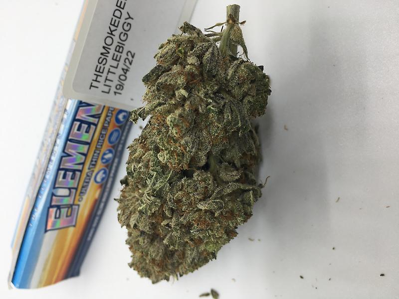 STARDAWG - VERY BIG BUDS - STANKY STANKY