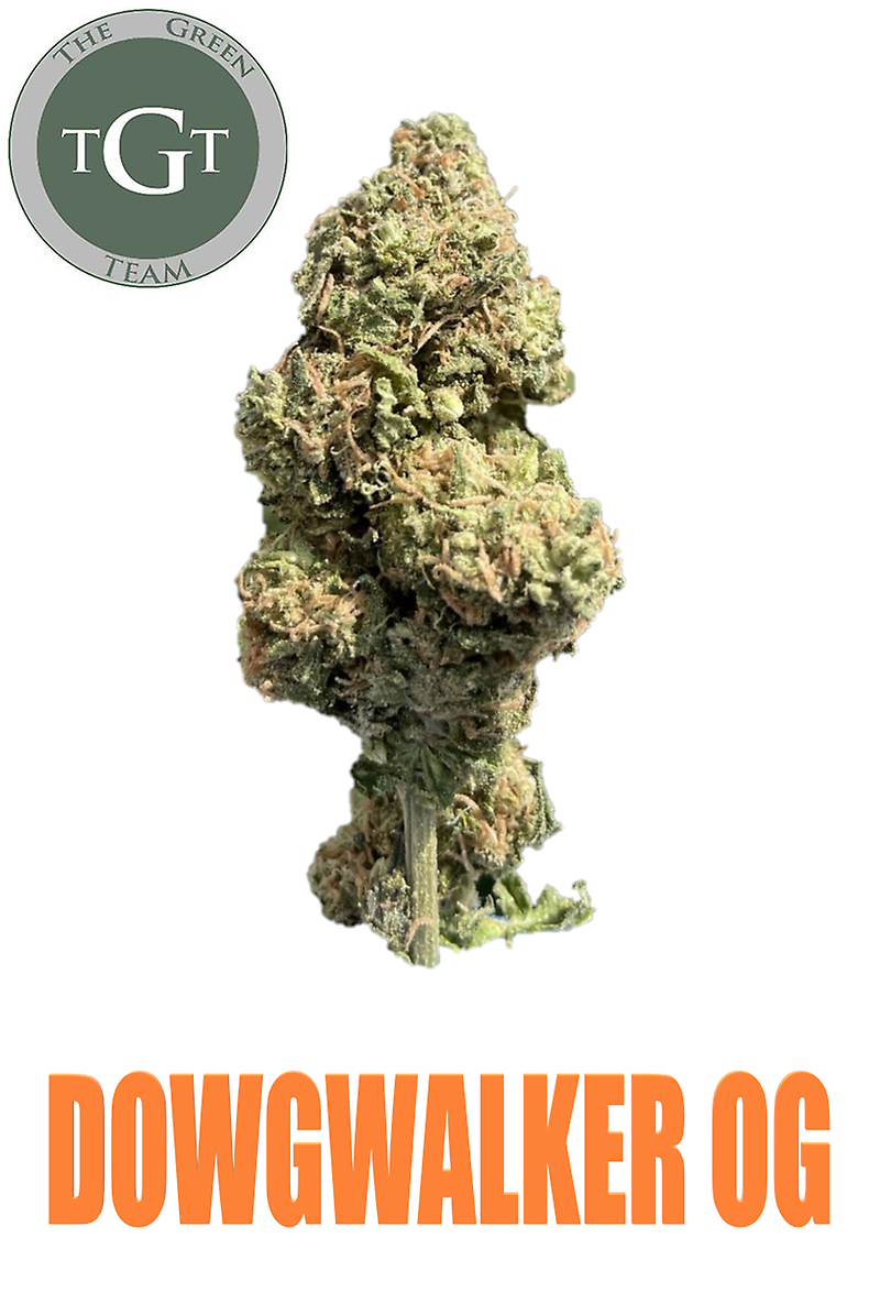 DOGWALKER OG *EXCLUSIVE*