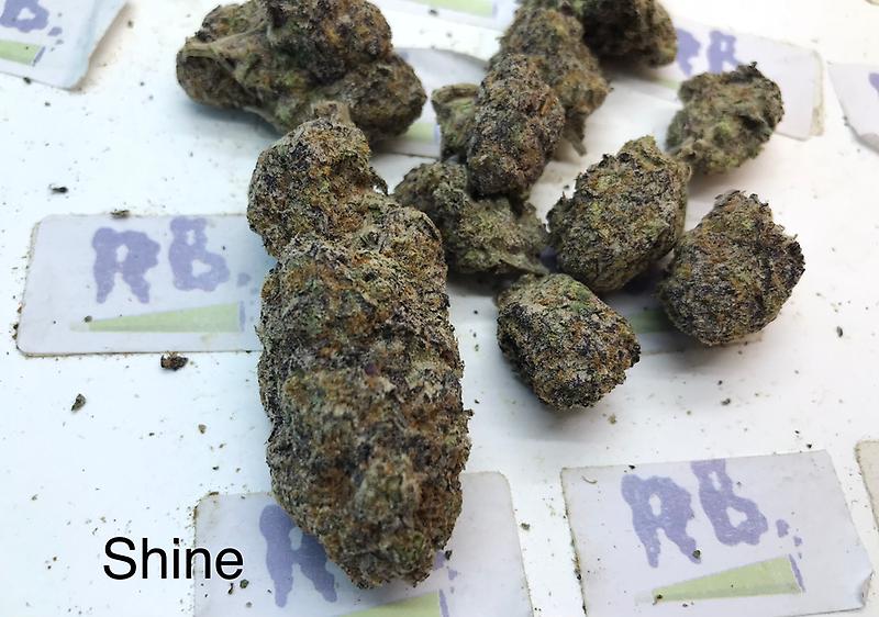 RISE ‘n’ SHINE MID SHELF CALI