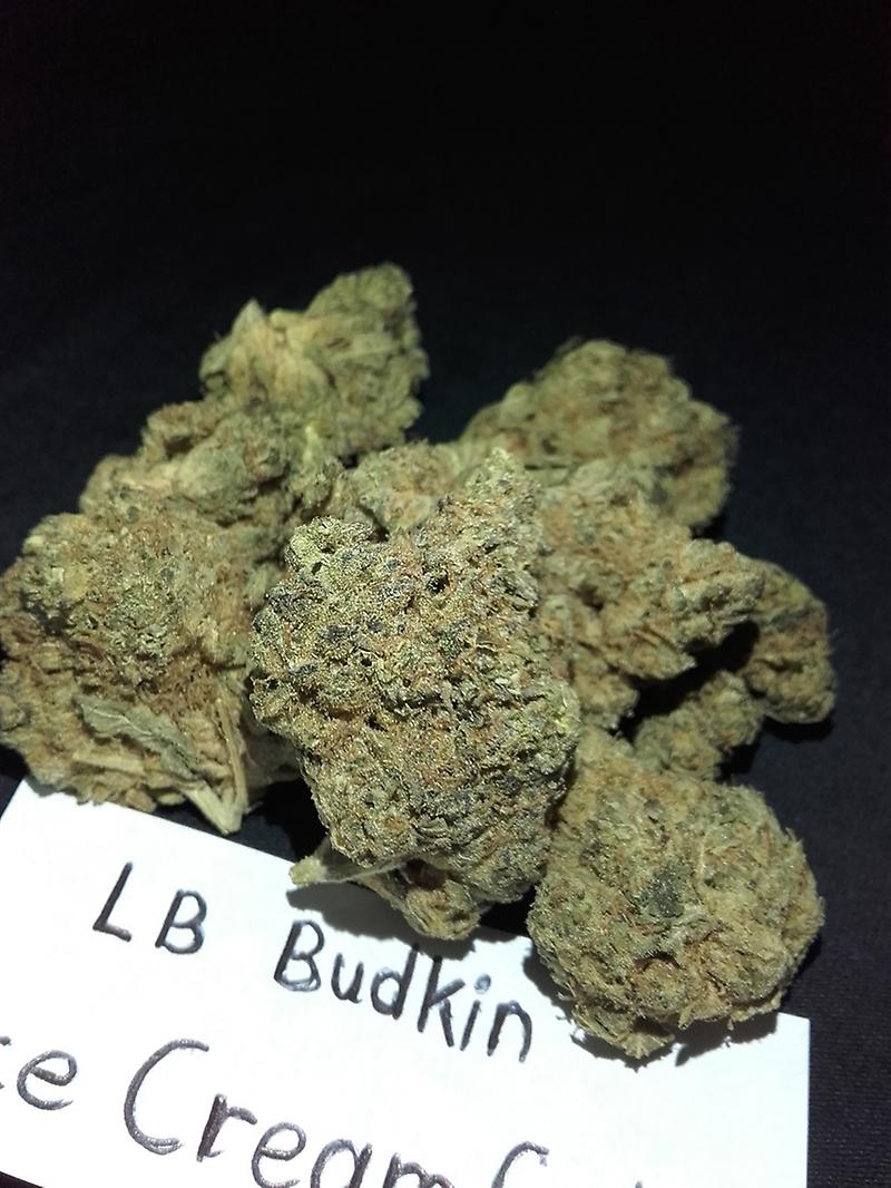 ICE CREAM CAKE (Canadian Import)