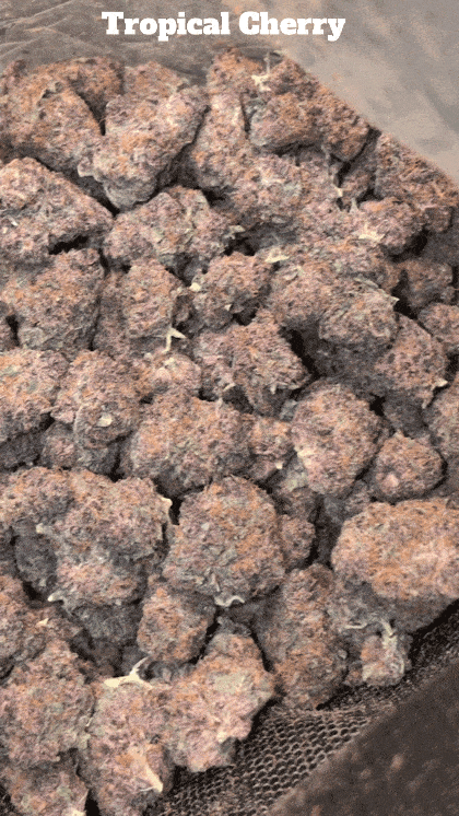 Top Shelf Exotics - Imported Loose Flower